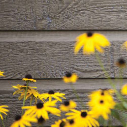 LP CanExel Integrated Campaign